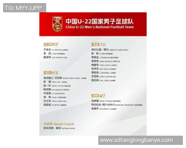 中国足球二号球星最新排名榜揭秘 这些球员能否挑战头号宝座