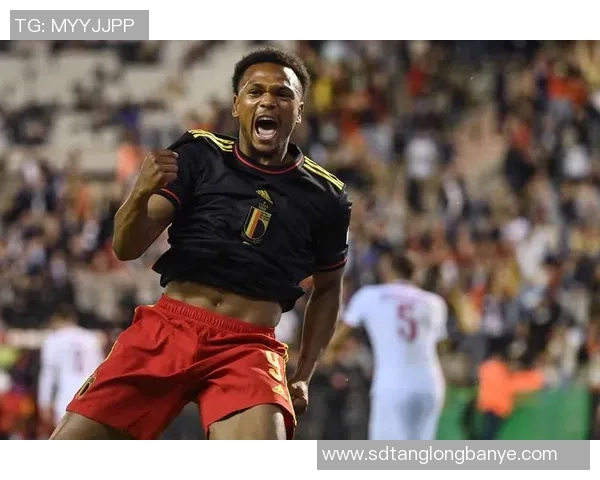 比利时国家足球队明星球员盘点及其职业生涯成就分析 比利时国家足球队明星球员盘点及其职业生涯成就分析