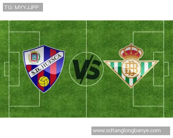 DS足球星级比赛命中率分析与提升策略探讨