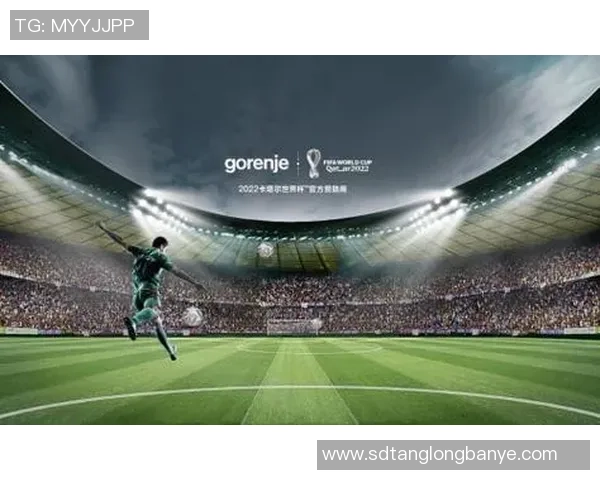 左脚定义绿茵传奇足球巨星精准控球与进球艺术