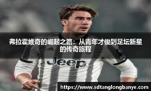 弗拉霍维奇的崛起之路：从青年才俊到足坛新星的传奇旅程