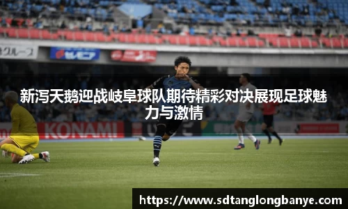 新泻天鹅迎战岐阜球队期待精彩对决展现足球魅力与激情