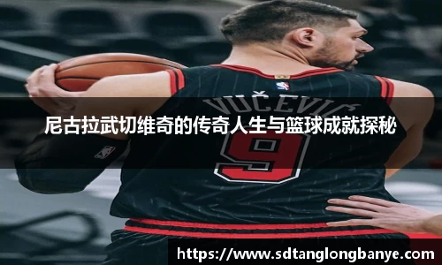 乐发Vll官网
