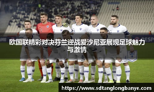 欧国联精彩对决芬兰迎战爱沙尼亚展现足球魅力与激情
